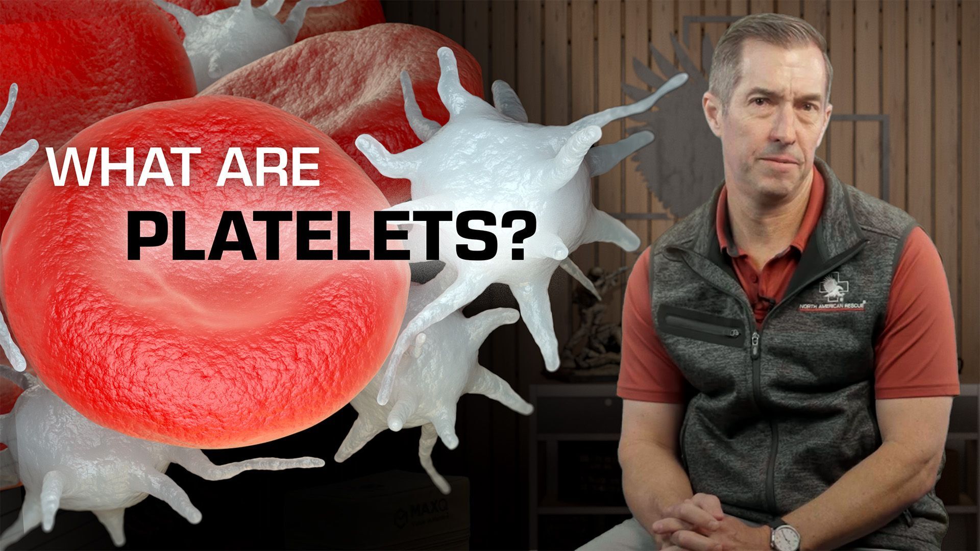 Prehospital Blood: What Role Do Platelets Play in Hemorrhage Control?